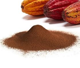 Premium Cacao Powder Available for Supply