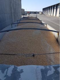 Servicio de Transporte de cereal a granel