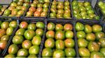 Tomates-pepinos-calabacin-berenjena