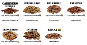 Granos de Cacao - Tienda online Shop