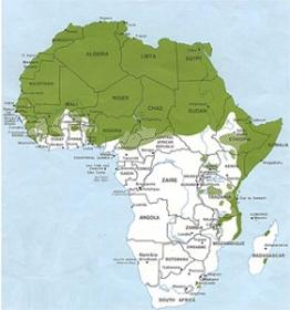Traducción a idiomas africanos