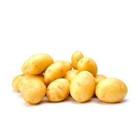 patata holandesa fresca
